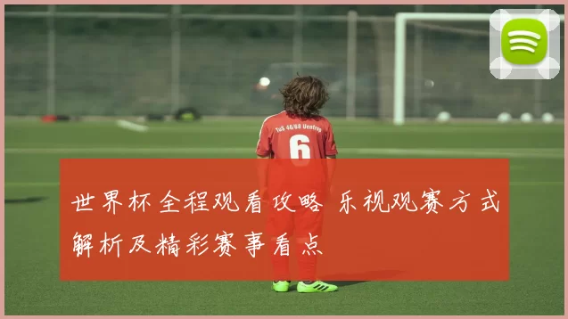世界杯全程观看攻略 乐视观赛方式解析及精彩赛事看点