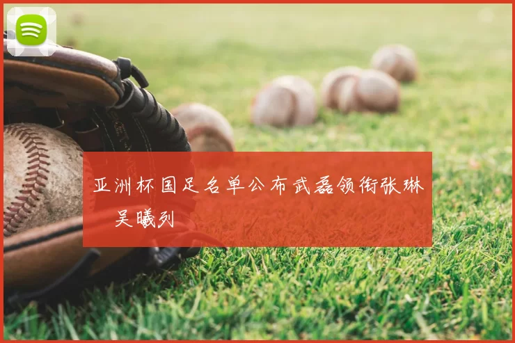 亚洲杯国足名单公布武磊领衔张琳芃吴曦列