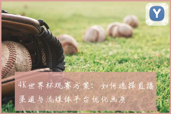 4K世界杯观赛方案：如何选择直播渠道与流媒体平台优化画质