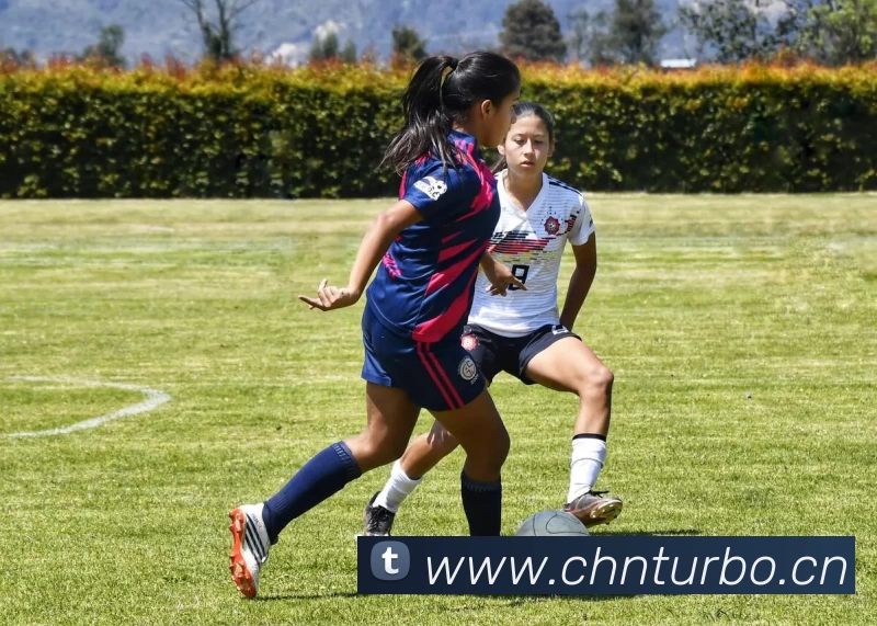 九游网页版·官方版在线入口 - 九游(中国)平台生态图